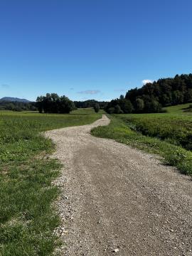 Območje 2_Pohodno - kolesarska pot po Loščah